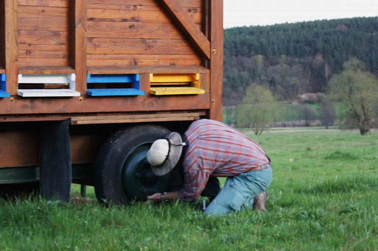 Préparer la transhumance la veille