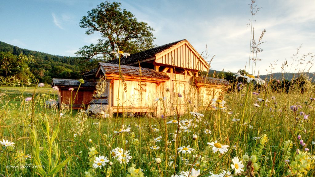 Photo du rucher de Mulhlmatten de Olivier Costes